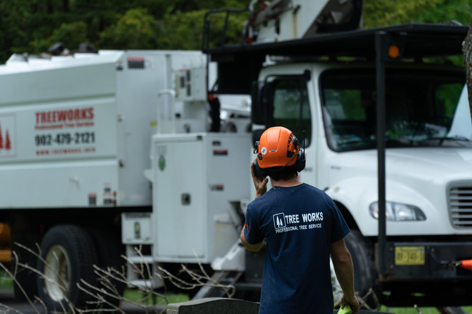 Tree Works Ltd photo 2