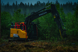 Tree Works Ltd photo 1