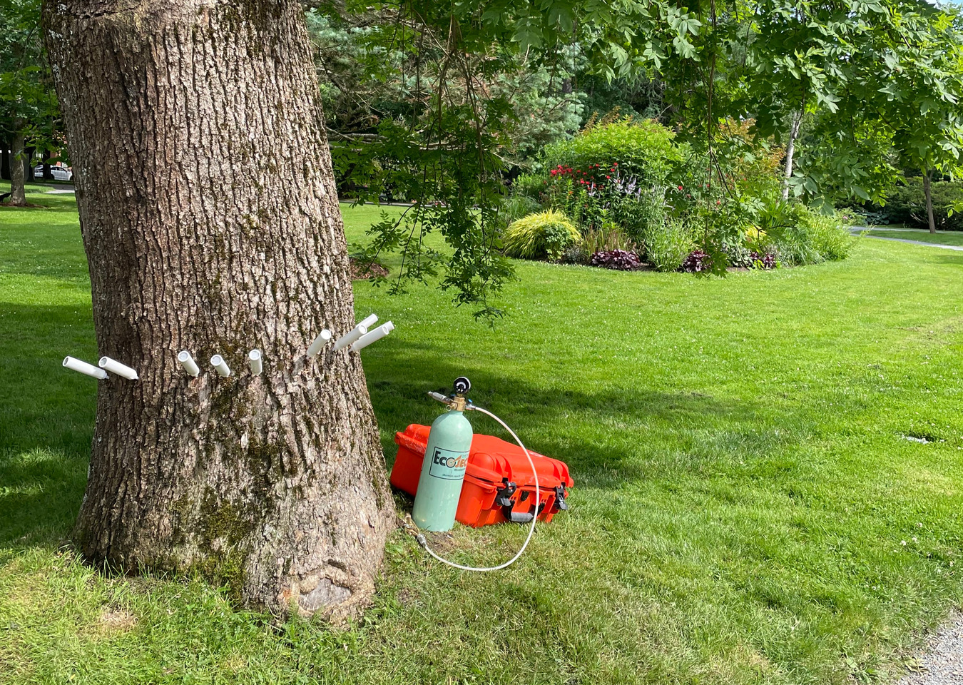 Tree Works Ltd photo 3