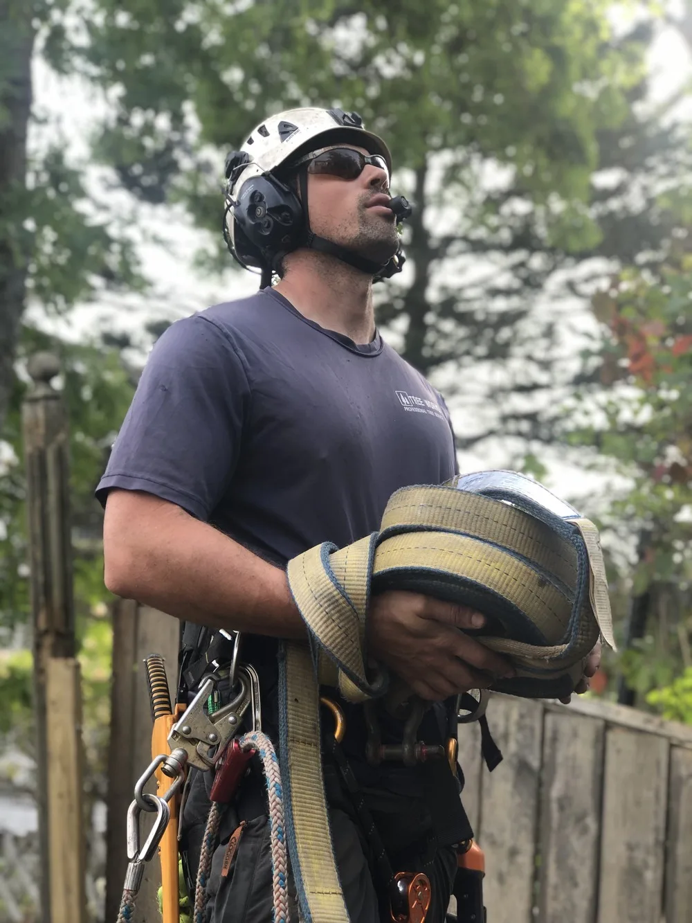 arborist halifax